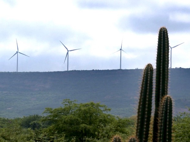 Piauí vira alvo de investimentos e se torna um dos maiores produtores de energia eólica  do Brasil